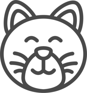 Alles voor de kat bij Dierenspeciaalzaak Angela