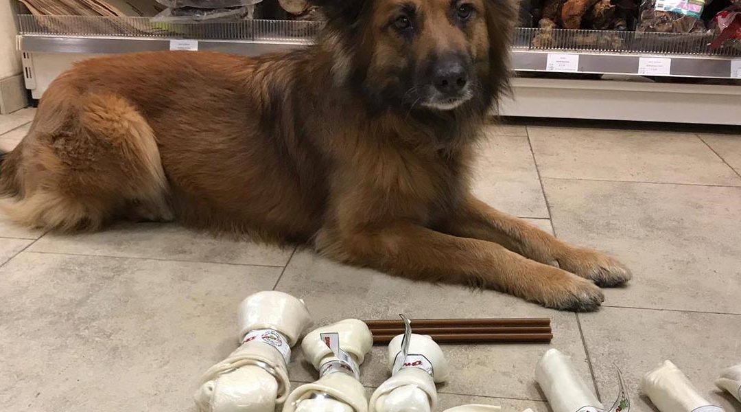 Kauwen als tandenborstel