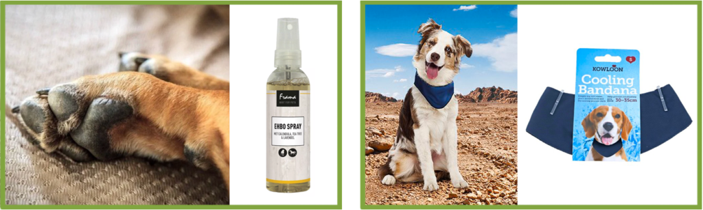 Vakantiechecklist_Bandana_EHBO spray