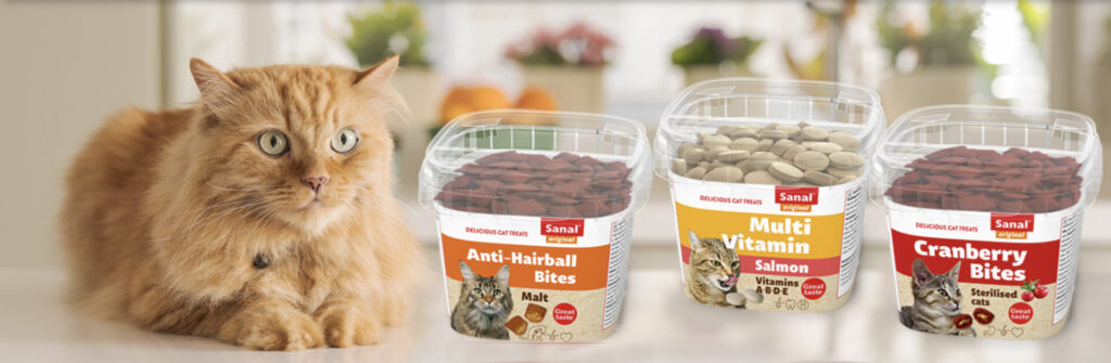 Kat met Sanal snacks