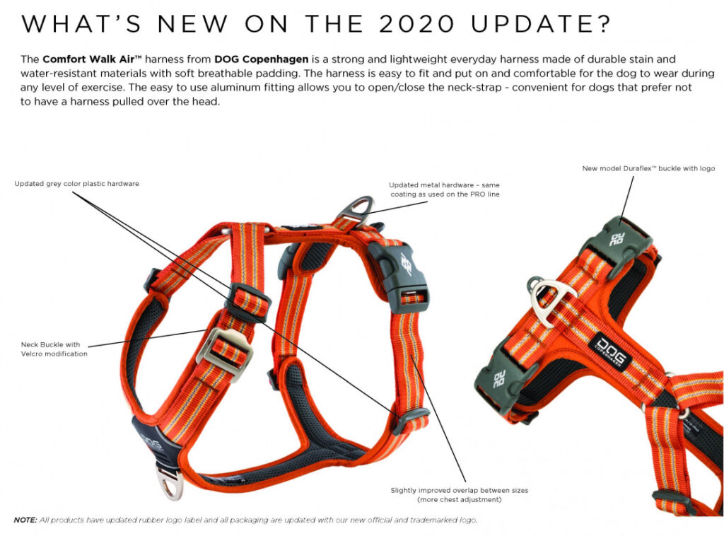 Dog Copenhagen Dog Copenhagen