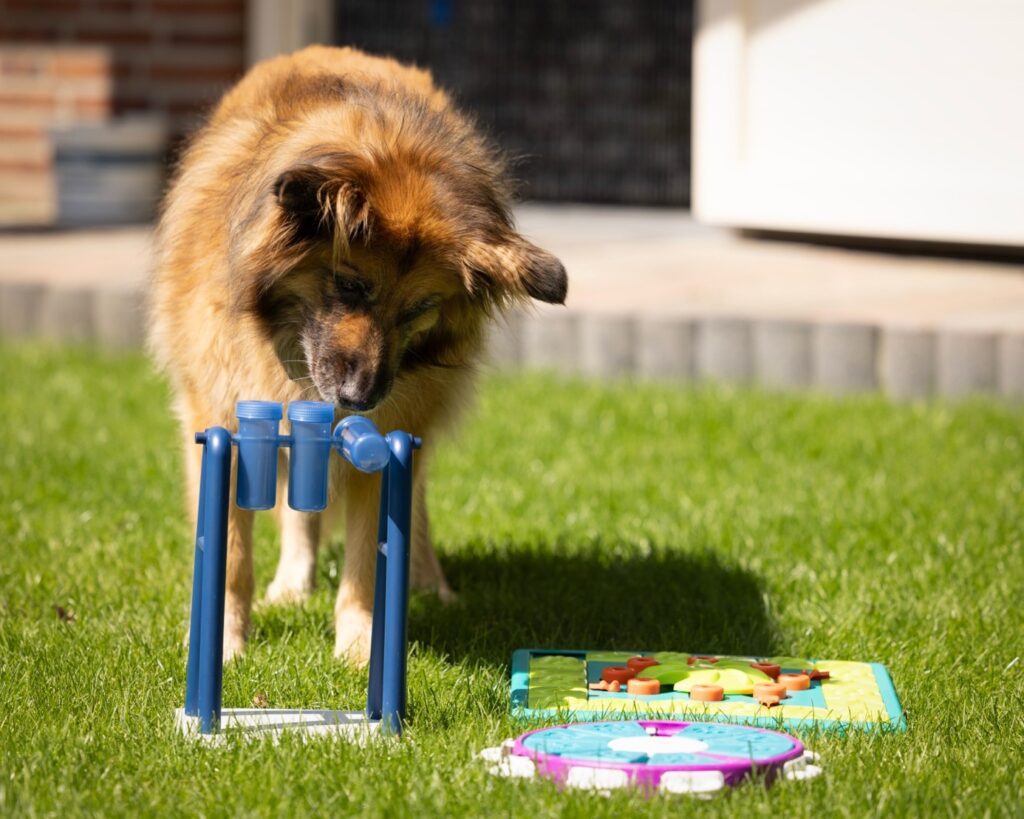 speel-o-theek speel-o-theek