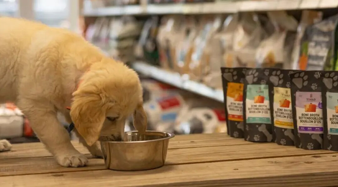 Holistisch hondenvoer: Ydolo