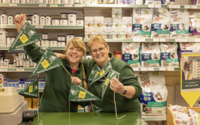 De leukste van Brabant