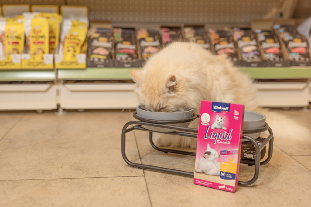 katten kattensnacks Verantwoorde kattensnacks